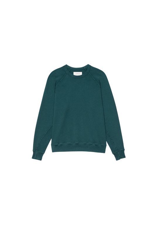 The College Sweatshirt.