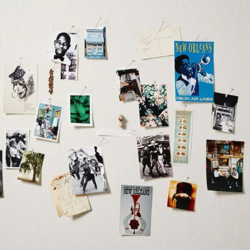 Wildsam Field Guides