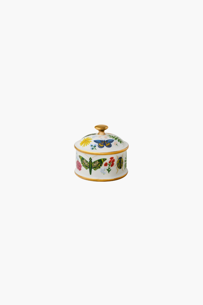 Curio Round Porcelain Box
