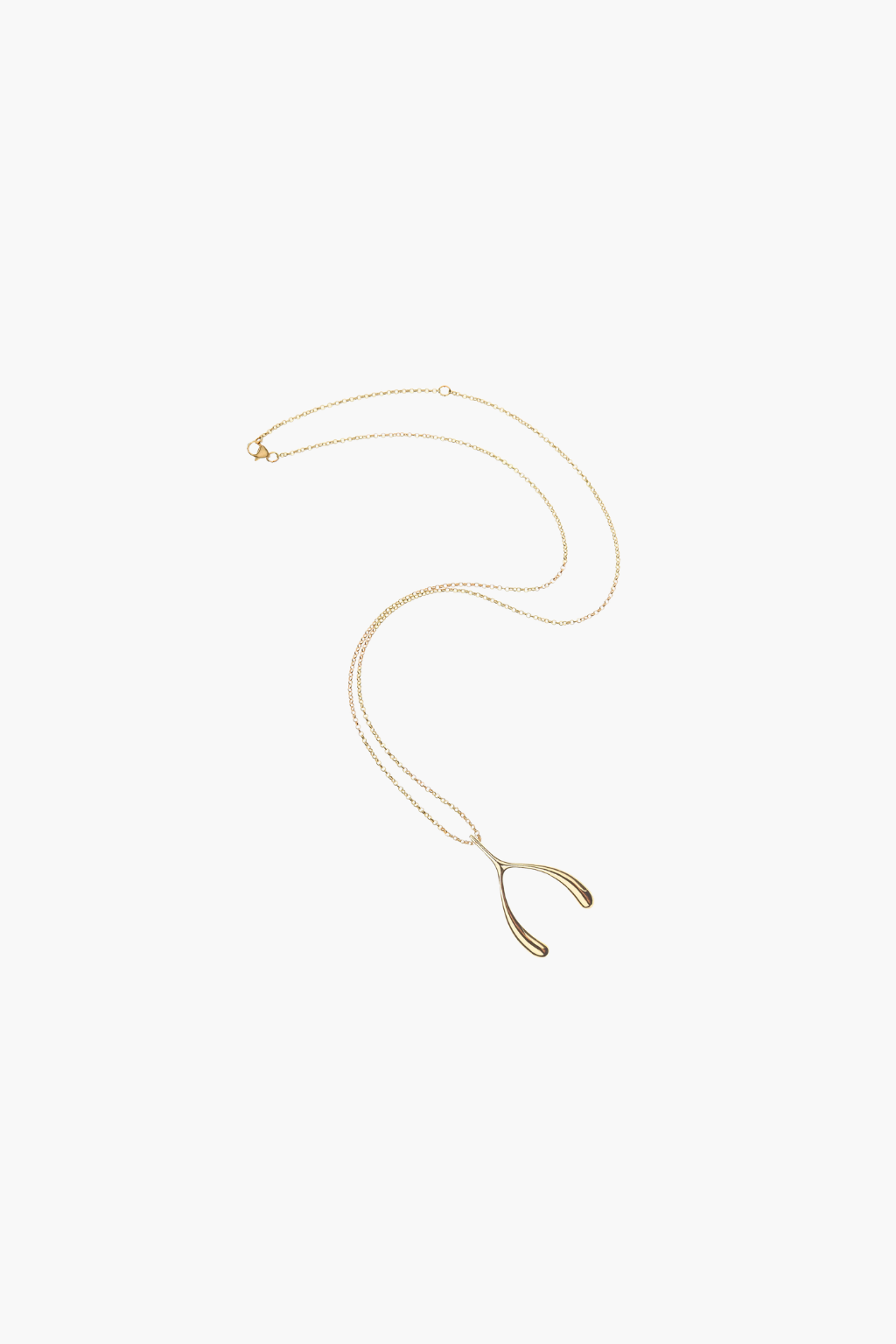 LUCKY Gold Wishbone Pendant Necklace - TRAY SHOW