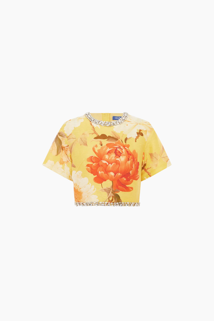 Indie Embellished Short Sleeve Top