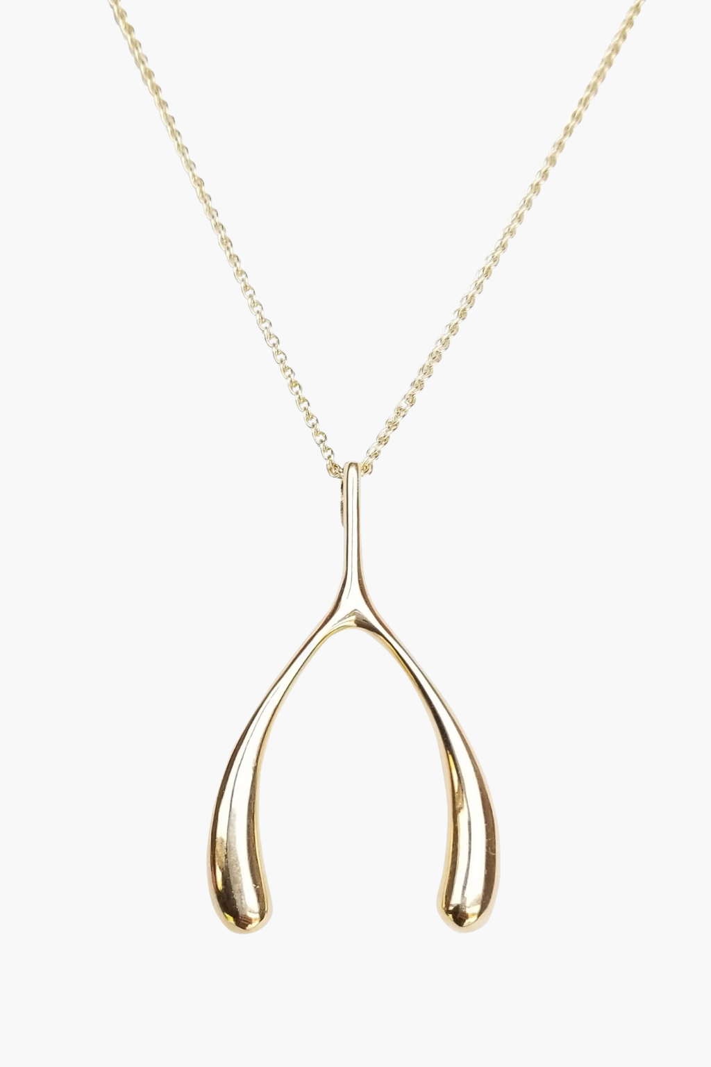 LUCKY Gold Wishbone Pendant Necklace - TRAY SHOW