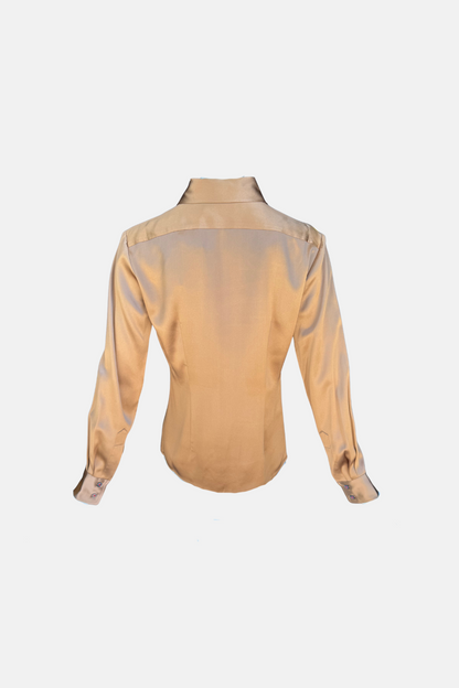 Long Sleeve Shiny Blouse