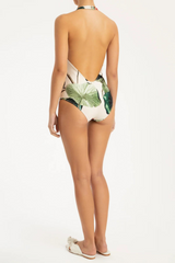 Halterneck Plunge Swimsuit