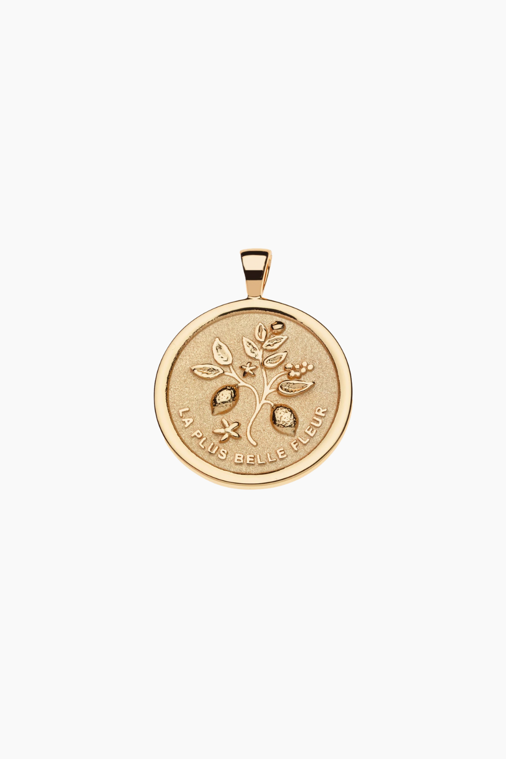 GRATITUDE JW Original Coin Necklace