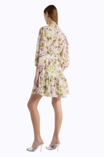 Rianne Dress
